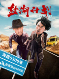 盐湖计划海报